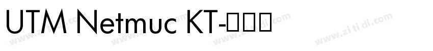 UTM Netmuc KT字体转换